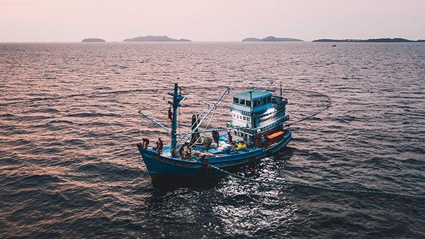Am hiểu địa lý và nguồn hải sản tự nhiên taị các Vùng Biển Việt Nam