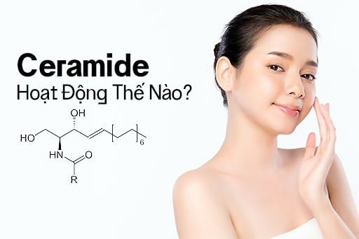 tim-hieu-ve-ceramide-la-gi-1