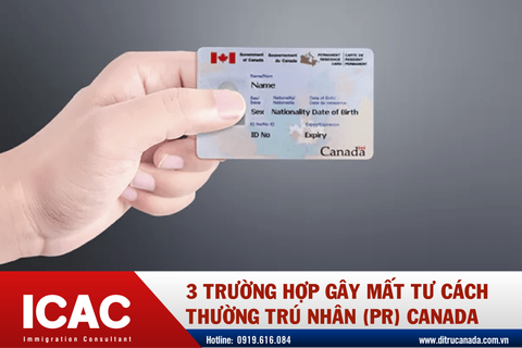 3 TRƯỜNG HỢP GÂY MẤT TƯ CÁCH THƯỜNG TRÚ NHÂN (PR) CANADA