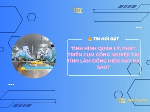 Tình hình quản lý, phát triển cụm công nghiệp tại tỉnh Lâm Đồng hiện nay ra sao?