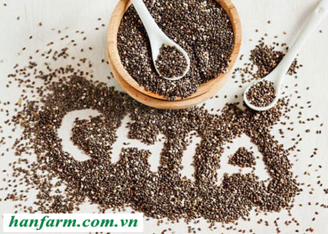 Lợi ích dinh dưỡng từ hạt chia và cách chế biến các món ngon từ hạt chia