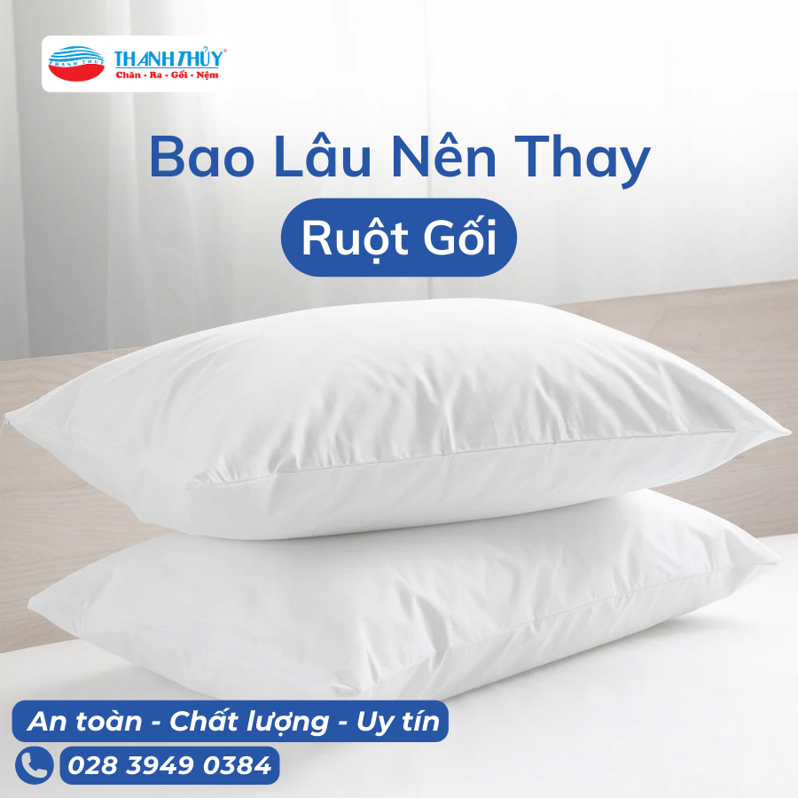 Bao Lâu Nên Thay Ruột Gối Một Lần