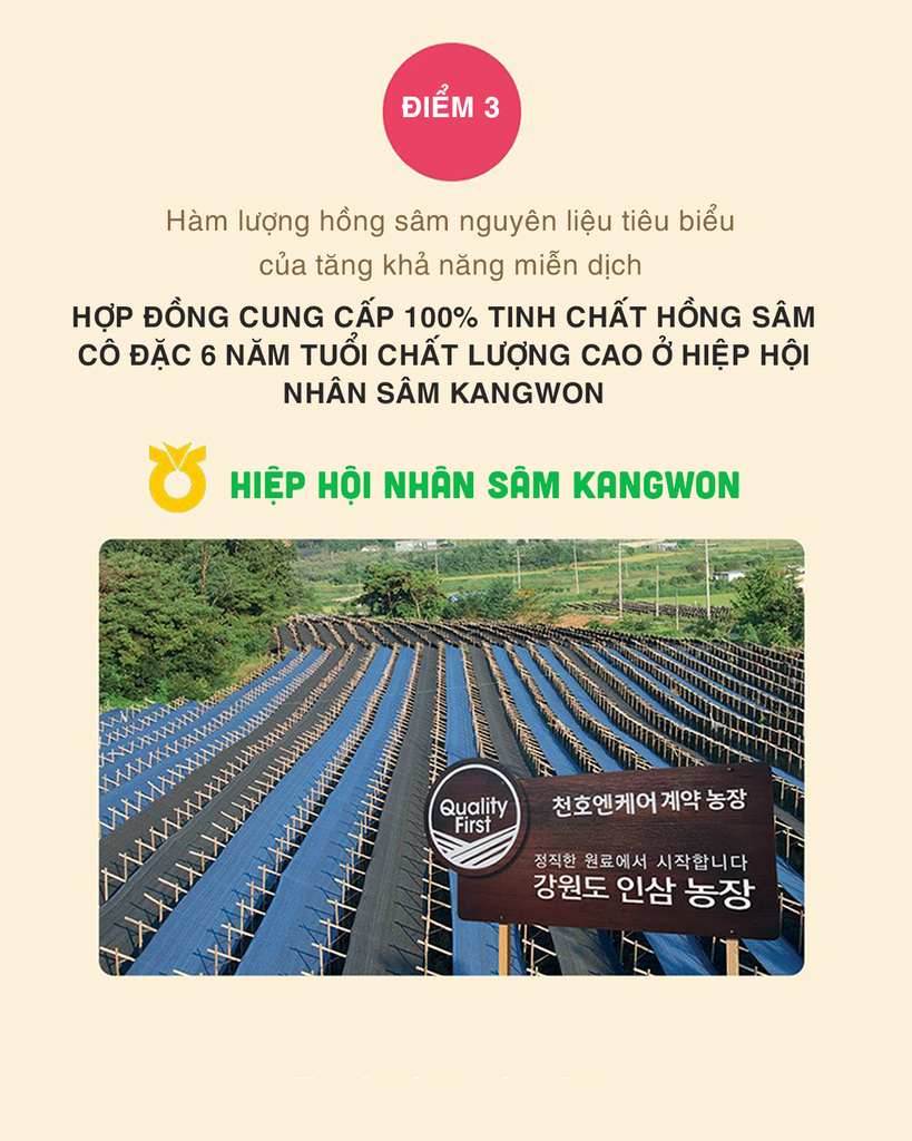 HỒNG SÂM TĂNG CHIỀU CAO TRẺ EM Chunho Ncare 4