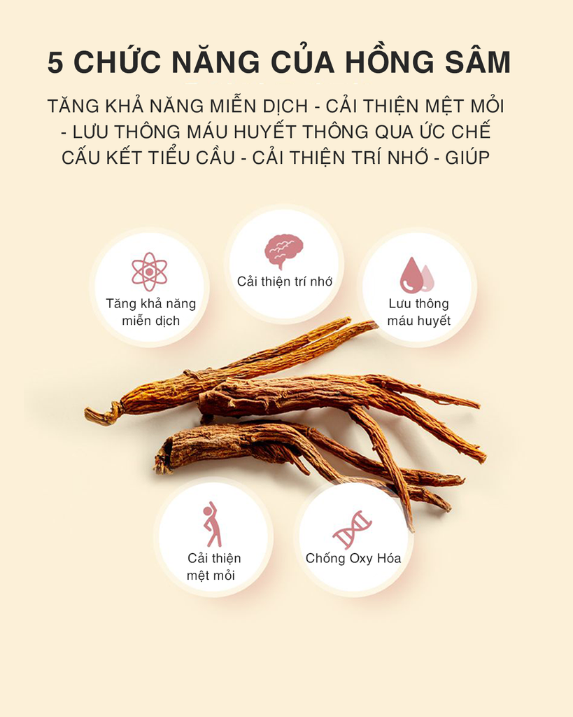 HỒNG SÂM TĂNG CHIỀU CAO TRẺ EM Chunho Ncare 5