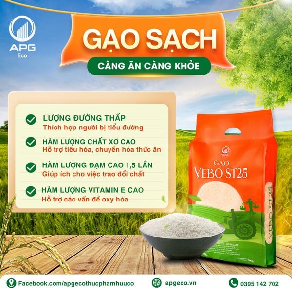 Gạo Vebo ST25 - Đi đề về, ăn để nhớ