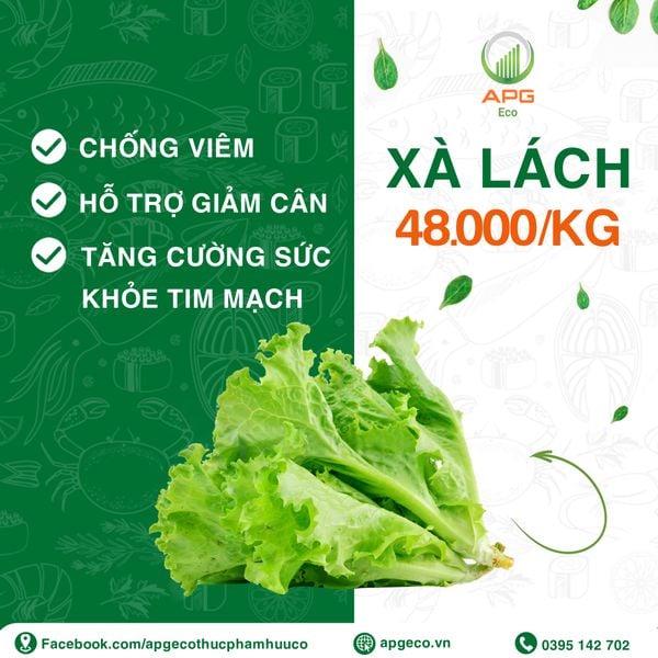 ✨ TOP SẢN PHẨM HỮU CƠ BÁN CHẠY CỦA APG ECO