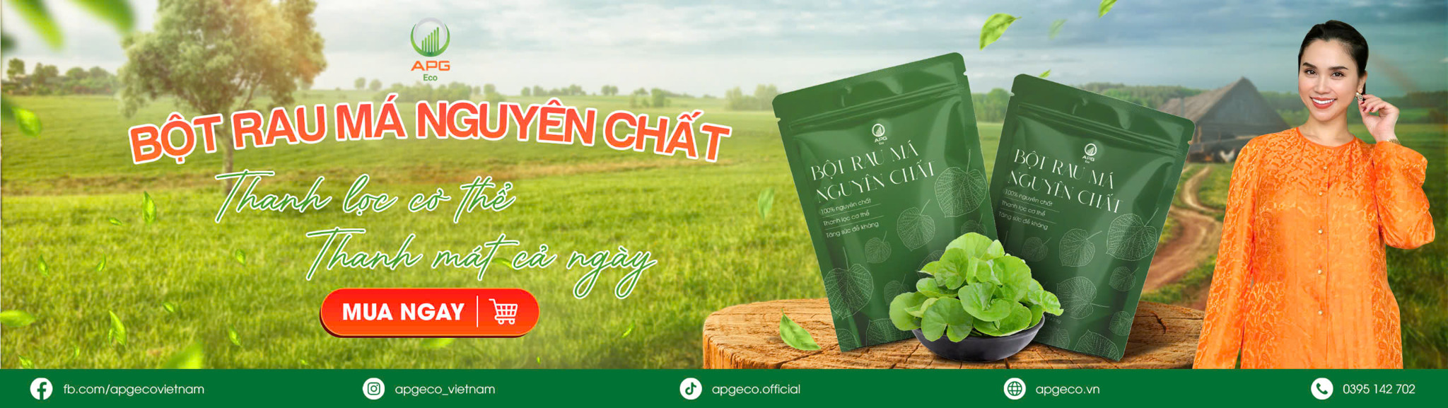 Bột rau má nguyên chất