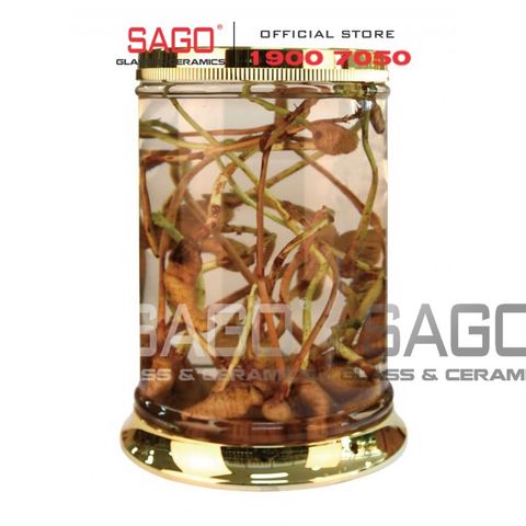 Địa chỉ mua bình thuỷ tinh ngâm rượu loại lớn cao 1m