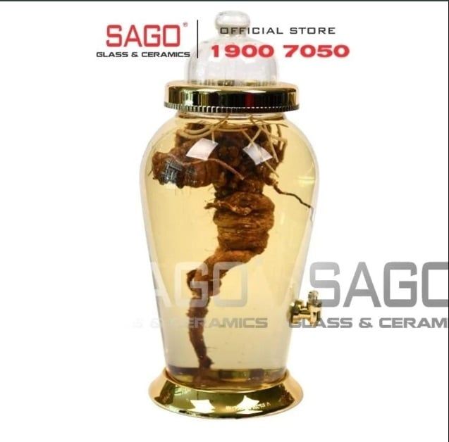 Bí quyết chọn mua bình thủy tinh 30 lít phù hợp với nhu cầu