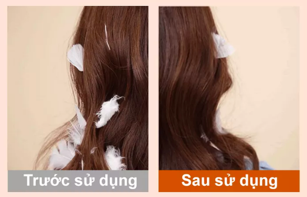 Hướng dẫn sử dụng