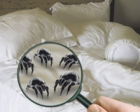 TÁC HẠI ĐÁNG SỢ CỦA CHĂN GA GỐI NỆM BẨN!