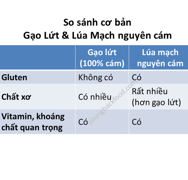 Lúa mạch – thực phẩm nhiều lợi ích – youngbackfood