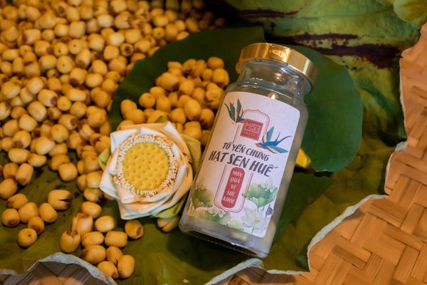 BỒI BỔ SỨC KHỎE, GIỮ MÃI TUỔI THANH XUÂN CÙNG TỔ YẾN CHƯNG HẠT SEN