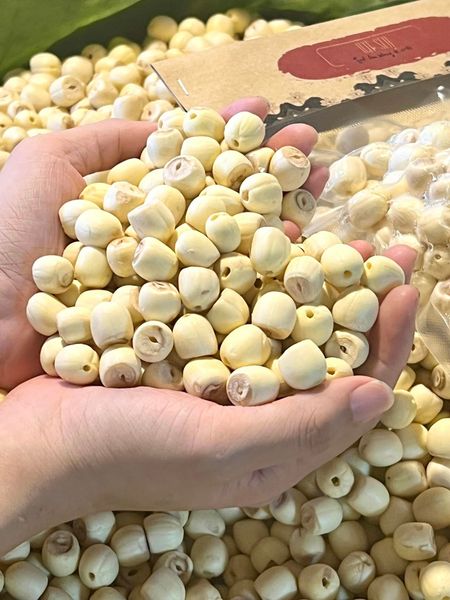 CÁCH NHẬN BIẾT HẠT SEN HUẾ NHÀ MỘC TRÊN THỊ TRƯỜNG