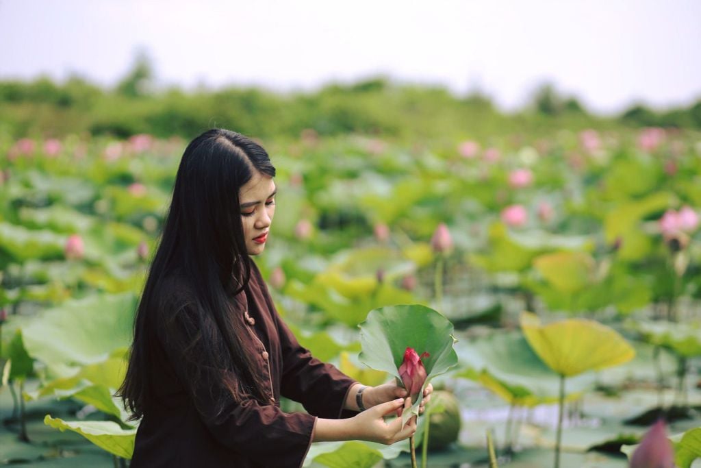 NGHỆ THUẬT LÀM TRANH TỪ LÁ SEN