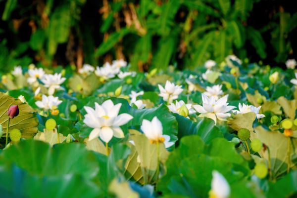 Vì sao nên sử dụng toner vào mùa hè?