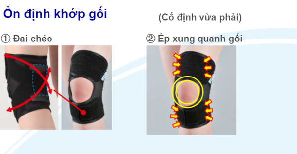 Đai gối Thin PF Cross Belt cố định khớp gối