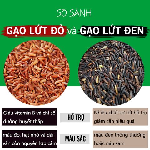 So sánh gạo lứt đen và gạo lứt đỏ. Nên dùng loại gạo lứt nào?