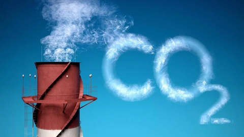 Hướng dẫn quy trình mua và sử dụng tín chỉ đền bù carbon hiệu quả