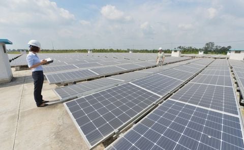 Năng lượng tái tạo: Cơ hội và thách thức cho Việt Nam