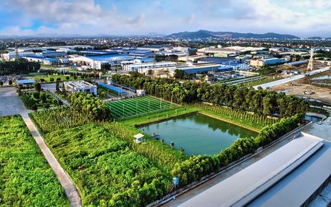 Kinh tế xanh là gì? Giải pháp phát triển kinh tế xanh tại Việt Nam