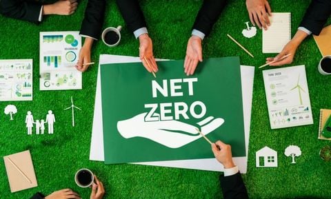10 steps to building an effective Net Zero strategy