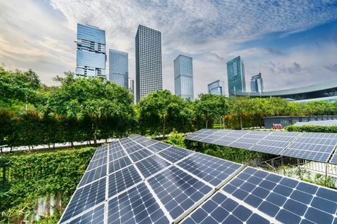 Tăng trưởng xanh là gì? Giải pháp tăng trưởng xanh hiệu quả