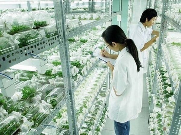 sản phẩm sinh học là gì
