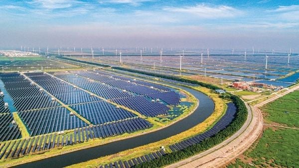 chuyển đổi xanh là gì