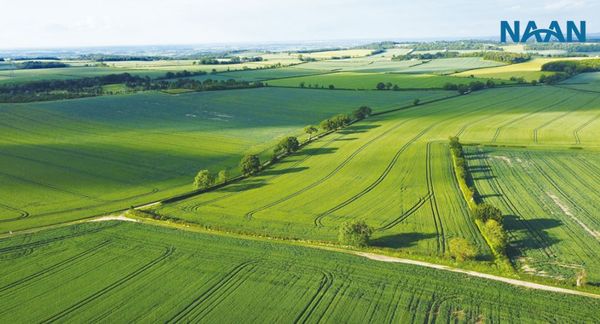 Tác động của biến đổi khí hậu và các biện pháp thích ứng cho nông nghiệp