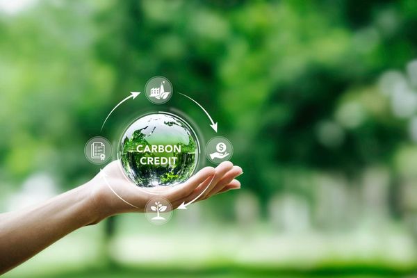 đối tượng cấp tín chỉ carbon