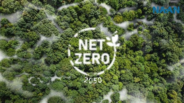 Commitments to Net Zero Announced and Energy Sector