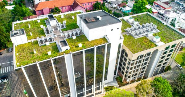 xu hướng chuyển đổi kép tại việt nam