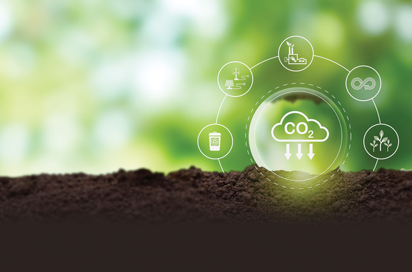 cách tính tín chỉ carbon