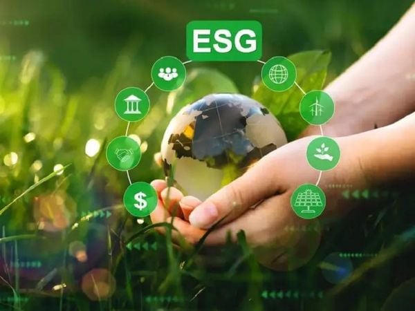 báo cáo esg là gì