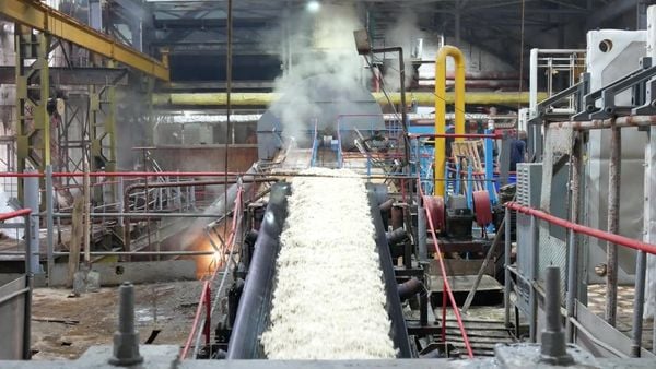 Steam in the industrial production of refined sugar