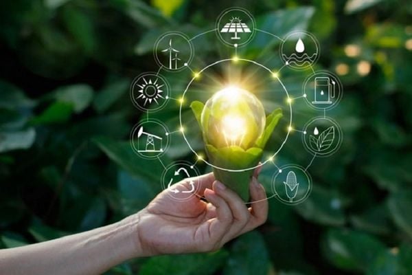 tiềm năng của năng lượng sinh học