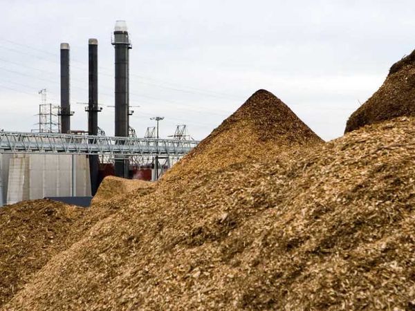chất đốt biomass là gì