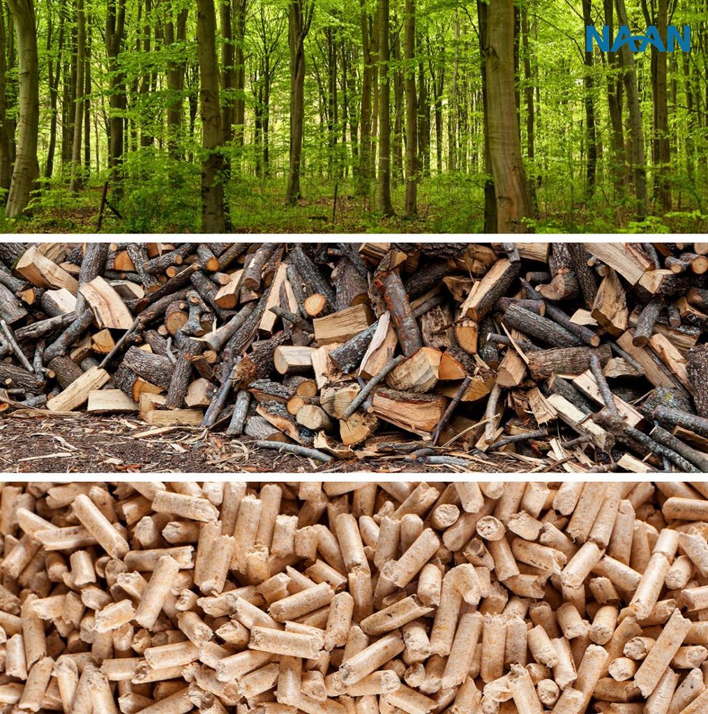 Towards Sustainability: Benefits of Pellets as Boiler Fuel