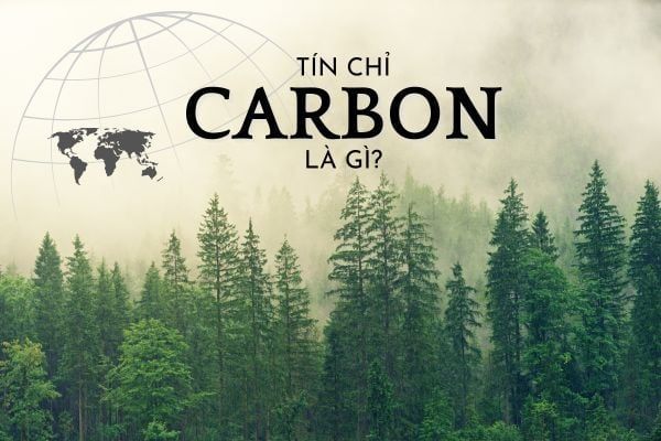 tín chỉ carbon là gì