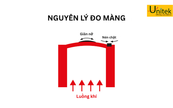 Nguyên lý đo Màng