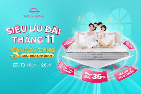SIÊU SALE THÁNG 11