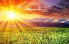 SĂN ƯU ĐÃI SẢN PHẨM MÙA HÈ cùng “SÔNG HỒNG - BỐN MÙA YÊU THƯƠNG