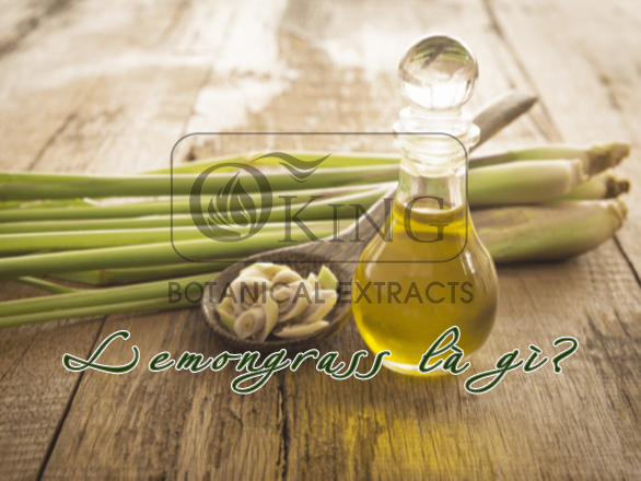Lemongrass là gì? Sử dụng tinh dầu sả chanh có tốt không?