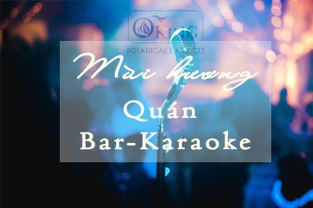 Nên chọn tinh dầu cho quán bar nào để khử mùi tốt và thơm sang