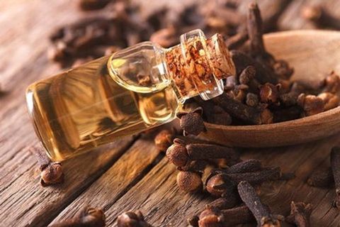 Tinh dầu đinh hương là gì? Và những điều bạn cần biết về nó