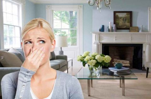 Tinh dầu khử mùi hôi có thực sự hiệu quả không?