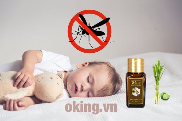 09 loại tinh dầu đuổi muỗi tự nhiên giúp phòng tránh bệnh sốt xuất huyết