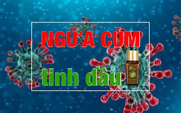 những loại tinh dầu giúp phòng tránh virus cúm hô hấp hiện nay