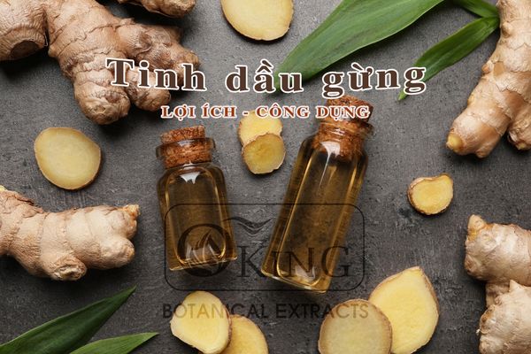 tinh dầu gừng oking 2